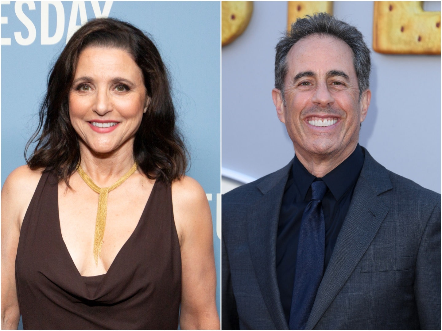 Julia Louis-Dreyfus’s Levelheaded Take on Political Correctness Is the Perfect Response to Jerry Seinfeld’s Whining