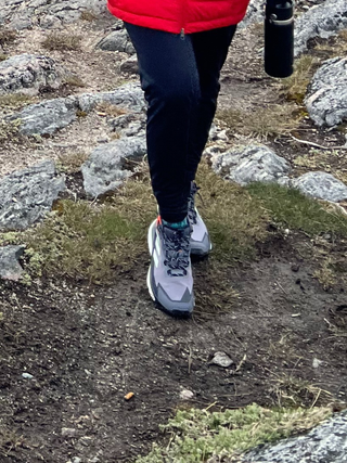Adidas Terrex Free Hiker Goretex Hiking Shoes