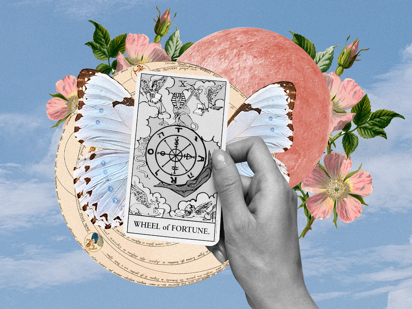 Your Tarot Horoscope for the Month Ahead